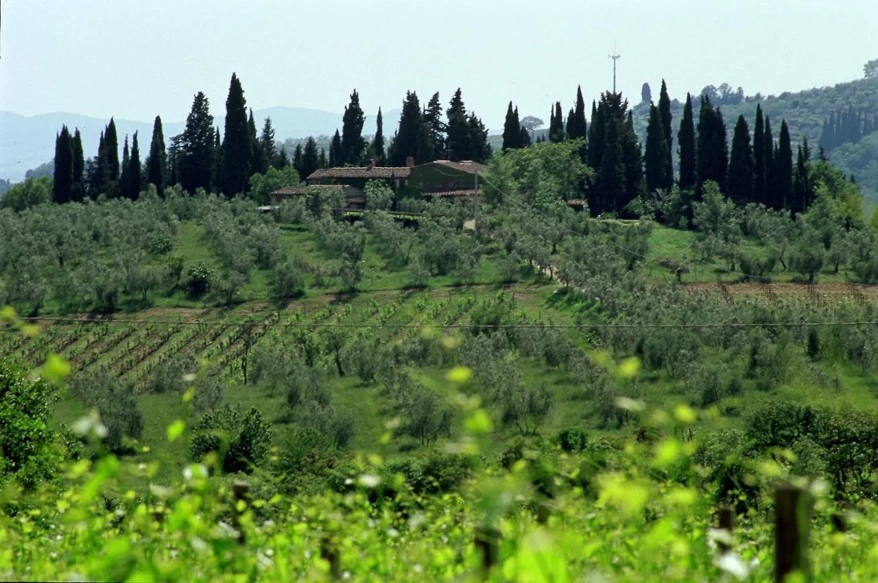 Fattoria Casa Sola Pensionat Barberino di Val dʼElsa