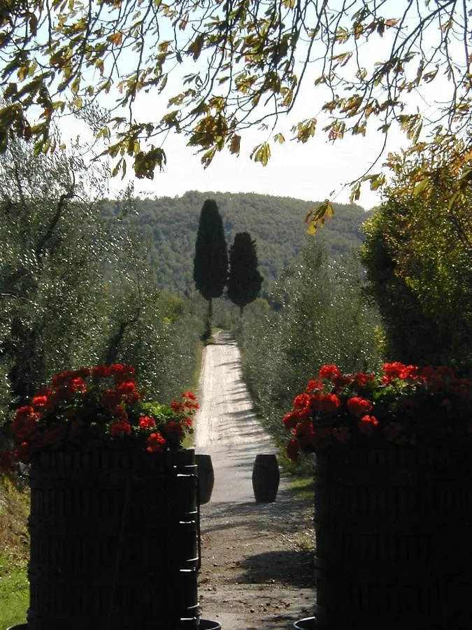 Landsted Fattoria Casa Sola Pensionat Barberino di Val dʼElsa Italien