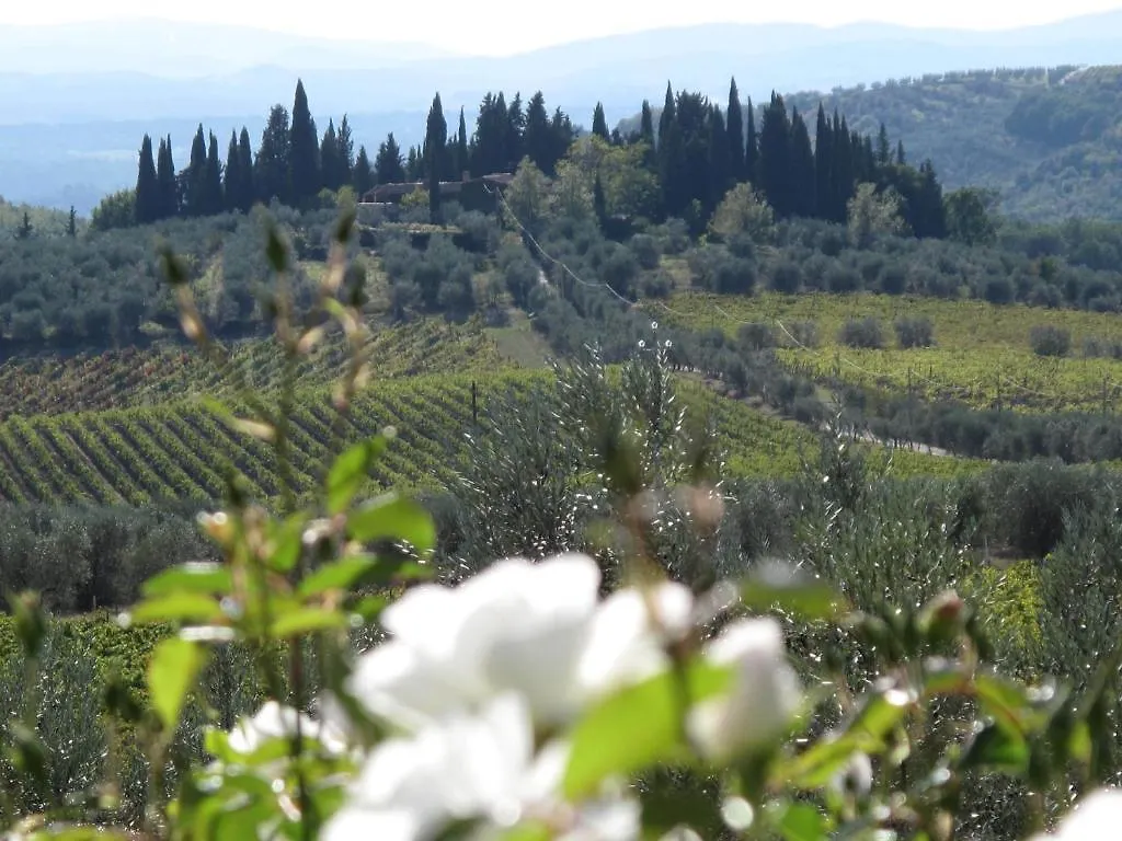 Fattoria Casa Sola Pensionat Barberino di Val dʼElsa